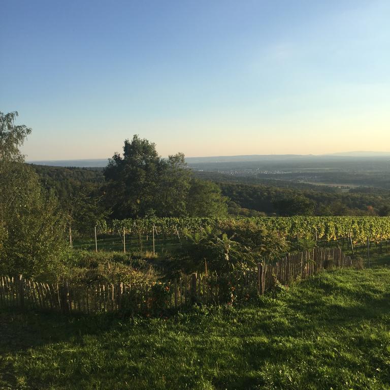 Schoene Aussicht Alzenau in Unterfranken Exterior photo
