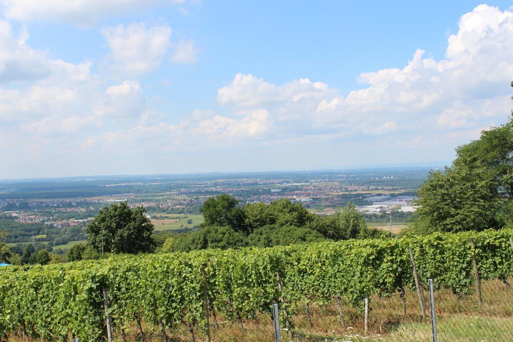 Schoene Aussicht Alzenau in Unterfranken Exterior photo